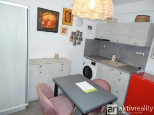 Prodej bytu 1+kk, Chomutov, Kostnická, 19 m2