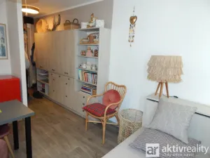 Prodej bytu 1+kk, Chomutov, Kostnická, 19 m2