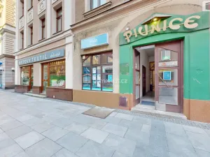 Pronájem restaurace, Opava - Město, Ostrožná, 281 m2