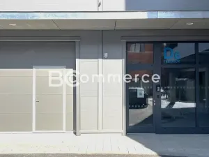 Pronájem skladu, Brno, Svatopetrská, 203 m2