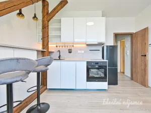 Pronájem bytu 1+kk, Brno - Královo Pole, Slovinská, 23 m2