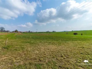 Prodej pozemku pro bydlení, Čermná, 823 m2