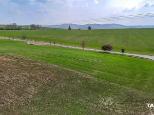 Prodej pozemku pro bydlení, Čermná, 988 m2
