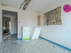 Prodej rodinného domu, Frýdlant nad Ostravicí, Mánesova, 124 m2