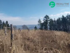 Prodej lesa, Spešov, 2643 m2