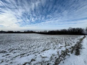 Prodej louky, Bruzovice, 94427 m2