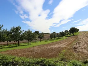 Prodej pozemku pro bydlení, Svatobořice-Mistřín, 2402 m2