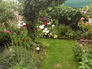 Prodej vícegeneračního domu, Mikulov, Na Jámě, 220 m2