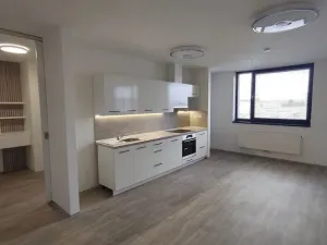 Prodej bytu 3+kk, Strakonice - Strakonice II, Na Ohradě, 84 m2