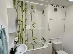 Pronájem bytu 1+1, Děčín - Děčín II-Nové Město, Lipová, 36 m2