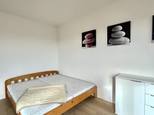 Pronájem bytu 1+kk, České Budějovice - České Budějovice 5, Dobrovodská, 41 m2