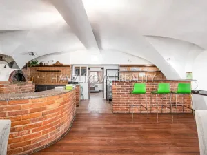 Prodej vícegeneračního domu, Chlum u Třeboně, Hejtmanská hráz, 1253 m2