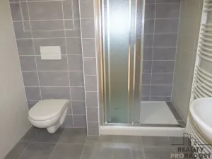 Pronájem bytu 1+kk, Olomouc, Wolkerova, 38 m2