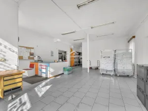 Prodej výrobních prostor, Havlíčkův Brod, Sázavská, 750 m2