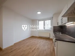 Pronájem bytu 1+kk, Dolní Kounice, Masarykovo náměstí, 35 m2