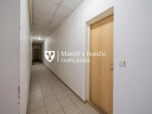 Pronájem bytu 1+kk, Dolní Kounice, Masarykovo náměstí, 35 m2