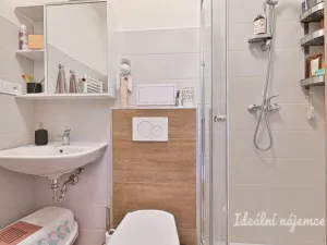 Pronájem bytu 2+kk, Brno, Vlhká, 51 m2