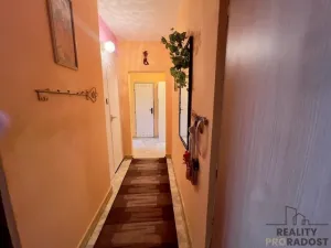 Prodej bytu 2+1, Hodonín, Brandlova, 60 m2