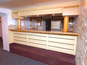 Pronájem obchodního prostoru, České Budějovice, Dvořákova, 80 m2