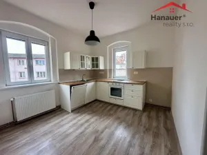 Pronájem bytu 1+1, Děčín - Děčín IV-Podmokly, Teplická, 47 m2