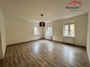 Pronájem bytu 1+1, Děčín - Děčín IV-Podmokly, Teplická, 47 m2