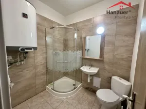 Pronájem bytu 1+1, Děčín - Děčín IV-Podmokly, Teplická, 47 m2