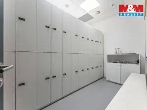 Pronájem obchodního prostoru, Praha, Jihlavská, 30 m2