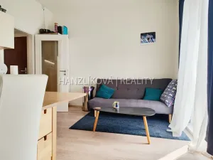 Pronájem bytu 2+kk, České Budějovice - České Budějovice 2, U Boru, 38 m2