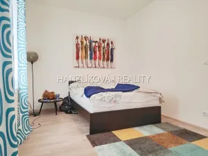 Pronájem bytu 2+kk, České Budějovice - České Budějovice 2, U Boru, 38 m2