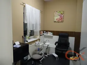 Prodej komerční nemovitosti, Prostějov, Blahoslavova, 250 m2