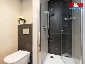 Pronájem bytu 1+kk, Plzeň, Kartónová, 29 m2