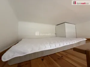 Pronájem bytu 1+kk, Praha - Smíchov, Kmochova, 25 m2