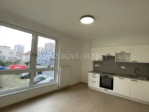 Pronájem bytu 1+kk, České Budějovice, Hálkova, 24 m2