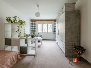 Prodej bytu 1+1, Plzeň, Smrková, 42 m2