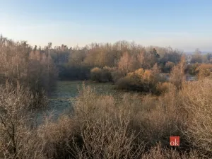 Prodej pozemku pro bydlení, Strašín, 3363 m2