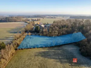 Prodej pozemku pro bydlení, Strašín, 3363 m2