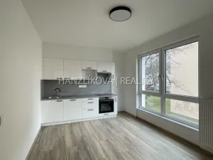 Pronájem bytu 2+kk, České Budějovice, Hálkova, 40 m2