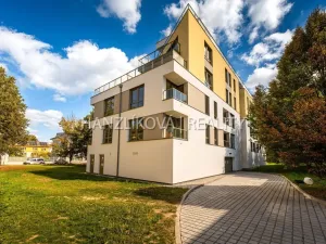 Pronájem bytu 2+kk, České Budějovice, Hálkova, 40 m2
