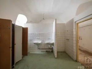 Prodej obchodního prostoru, Chudenice, Mírové nám., 1906 m2