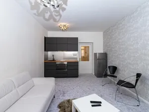 Pronájem bytu 1+kk, Praha - Vinohrady, Záhřebská, 30 m2