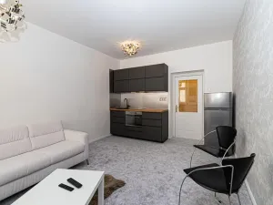 Pronájem bytu 1+kk, Praha - Vinohrady, Záhřebská, 30 m2