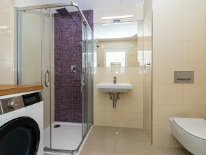 Pronájem bytu 1+kk, Praha - Vinohrady, Záhřebská, 30 m2