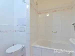 Pronájem bytu 1+1, Brno, Novoměstská, 29 m2