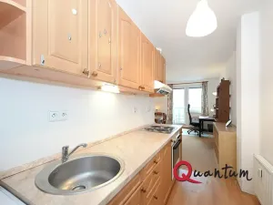 Pronájem bytu 1+kk, Praha - Stodůlky, Wiedermannova, 48 m2