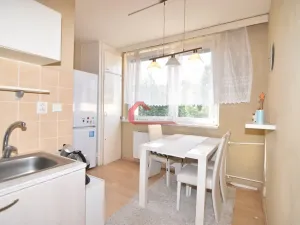 Pronájem bytu 2+1, Hodonín, Brandlova, 55 m2