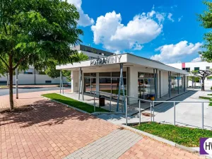 Pronájem bytu 4+kk, Praha, K Beranovu, 227 m2