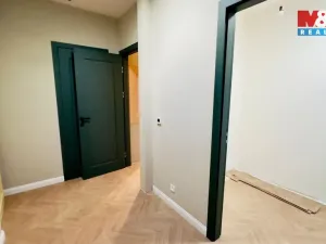 Pronájem bytu 2+kk, Opava - Předměstí, Riegrova, 56 m2