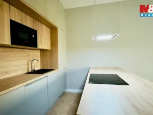 Pronájem bytu 2+kk, Opava - Předměstí, Riegrova, 56 m2