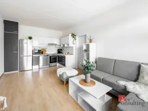 Prodej bytu 2+kk, České Budějovice - České Budějovice 2, J. Bendy, 39 m2