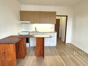 Pronájem bytu 1+1, Písek - Budějovické Předměstí, třída Přátelství, 36 m2